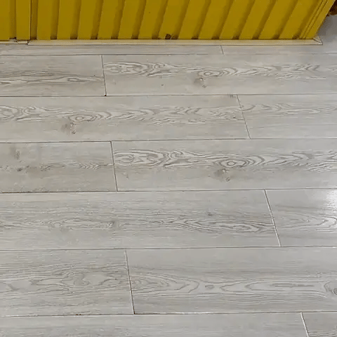 PELOTA INTERACTIVA PARA PERROS Y GATOS – 3 Modos de USO